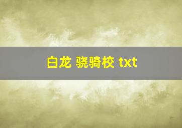 白龙 骁骑校 txt